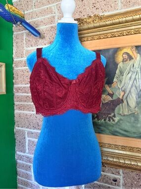 City Chic Lace Underwire Bra in Burgundy